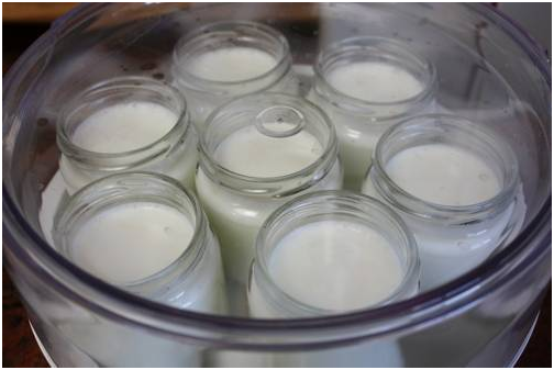 Cách làm sữa chua phô mai dẻo mịn 5