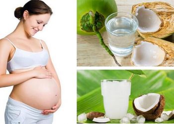 Bà bầu có nên uống nước dừa không? Những lưu ý tốt nhất cho thai kỳ 3