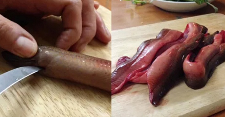 cách làm thịt lươn