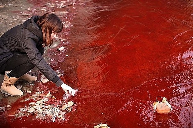 Một con sông tại tỉnh Hà Nam, Trung Quốc bị nhuộm đỏ bởi hóa chất