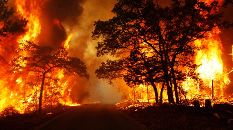 Cháy rừng gây ô nhiễm không khí