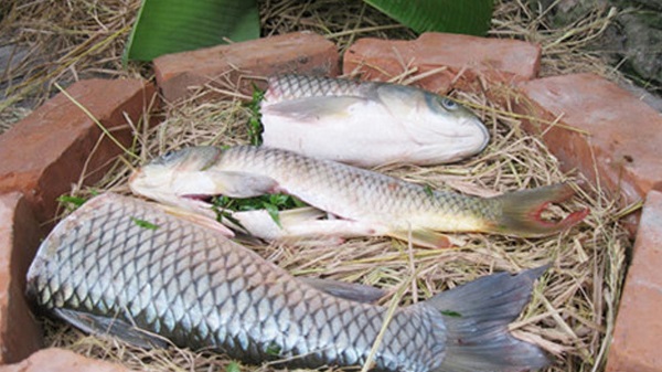 Cá nướng úp chậu Nam Định