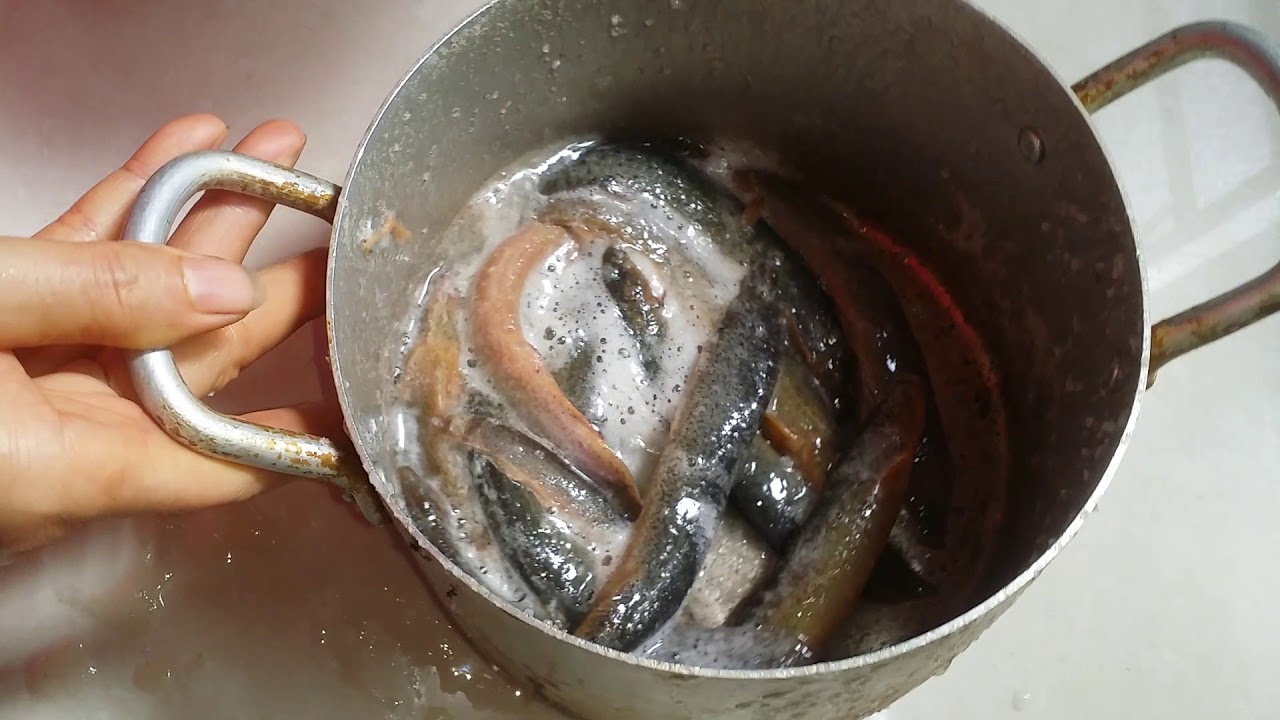 Cách làm cá chạch nấu chuối
