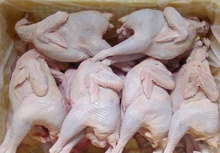 giá thịt gà công nghiệp