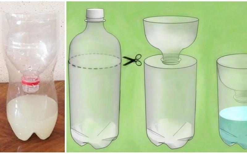 Cách bắt thằn lằn bằng chai nhựa