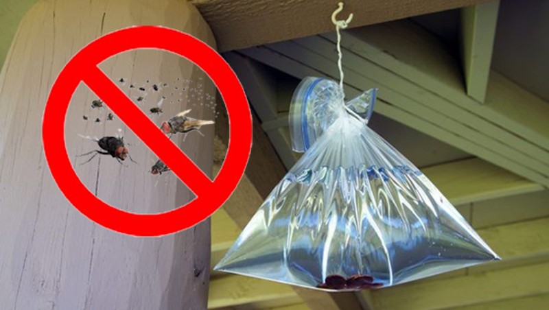 Sử dụng một túi nhựa chứa đầy nước để đuổi ruồi.