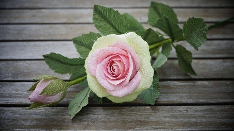 Hoa hồng bằng giấy nhún