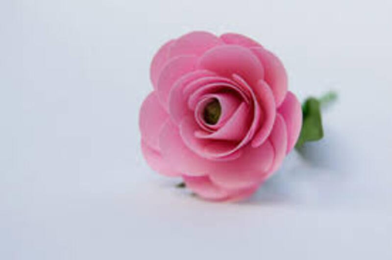 Hoa hồng bằng vải nỉ