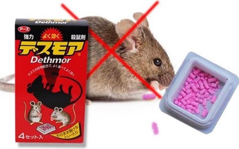 Những lưu ý khi sử dụng thuốc diệt chuột