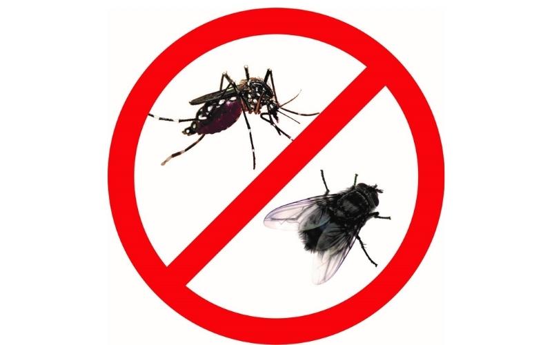 [Review] 14 loại thuốc diệt ruồi hiệu quả tốt nhất thị trường