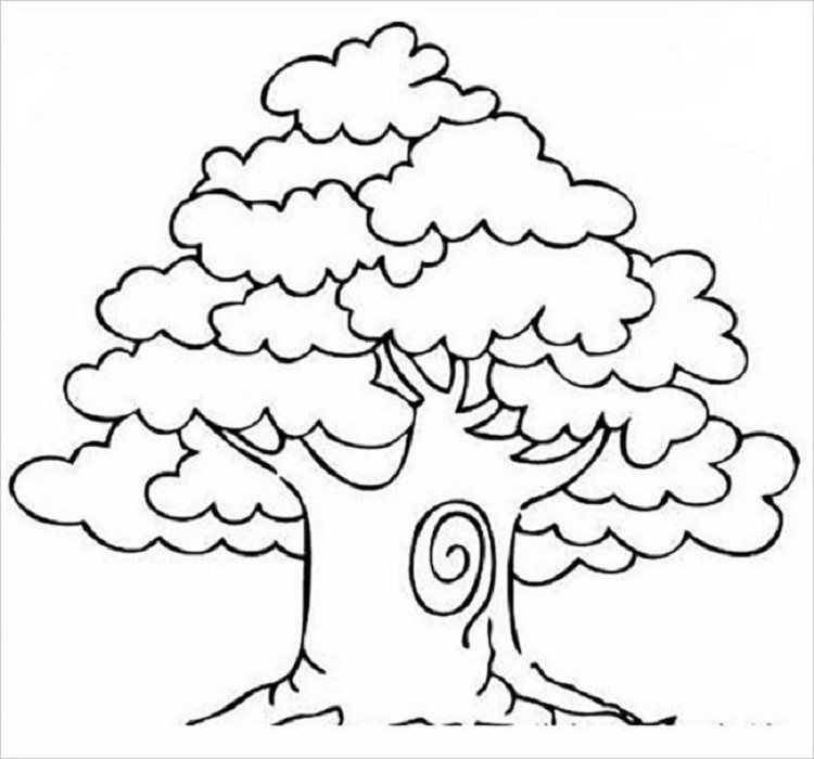 cách vẽ cây 1