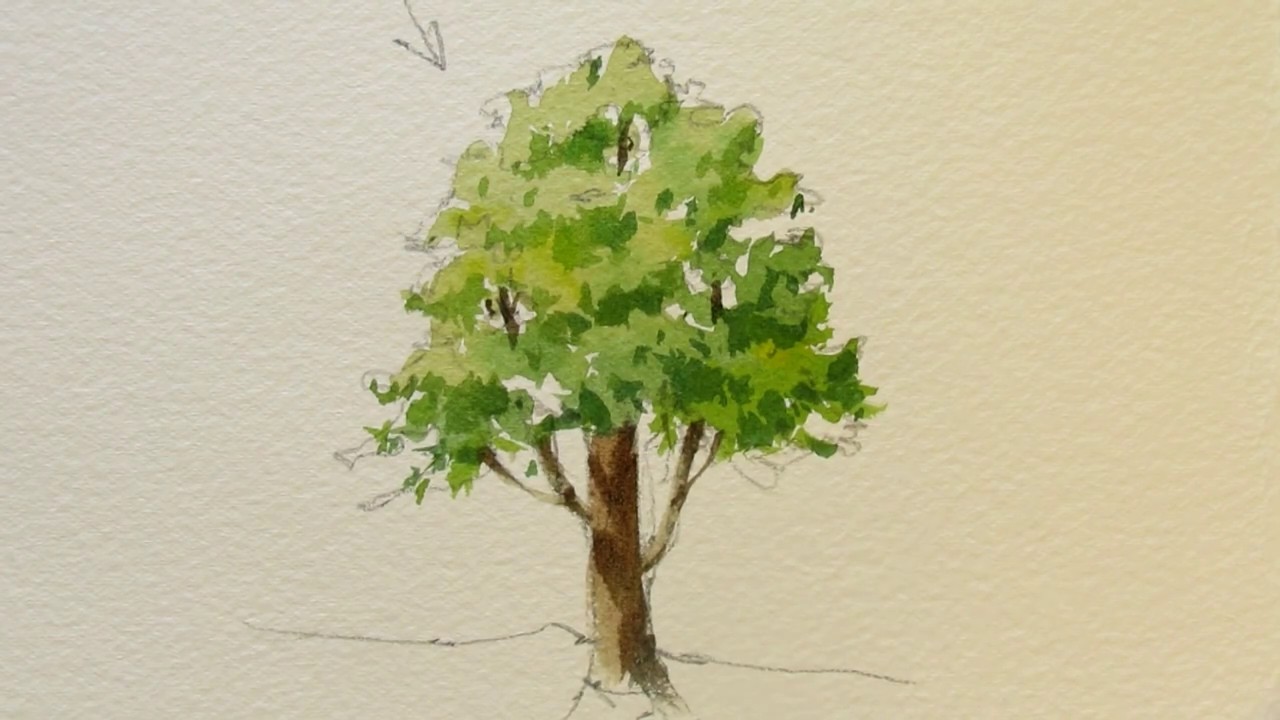 cách vẽ cây 15