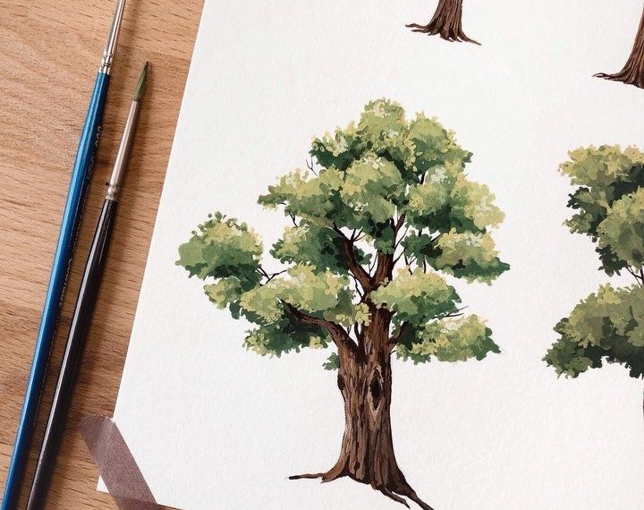 làm thế nào để vẽ một cái cây 16 inch