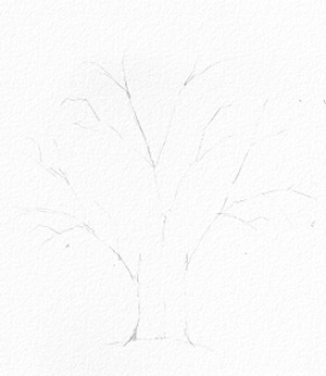 cách vẽ 7. cái cây