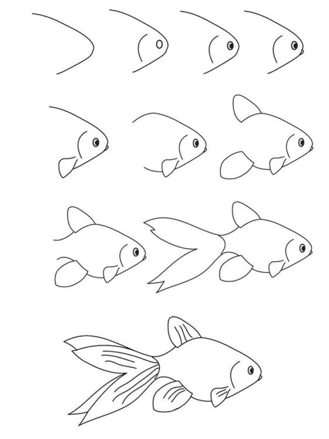 cách vẽ con cá 14