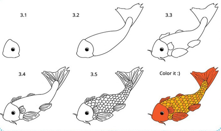 cách vẽ con cá 15