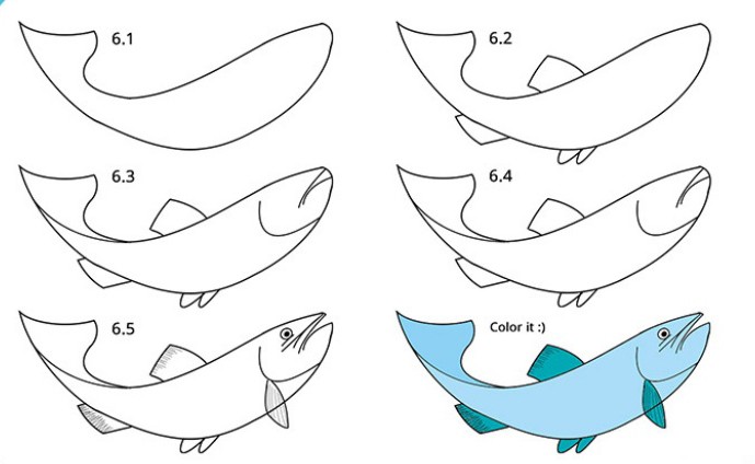 cách vẽ con cá 16