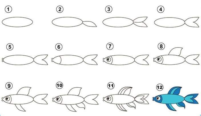 cách vẽ cá 17