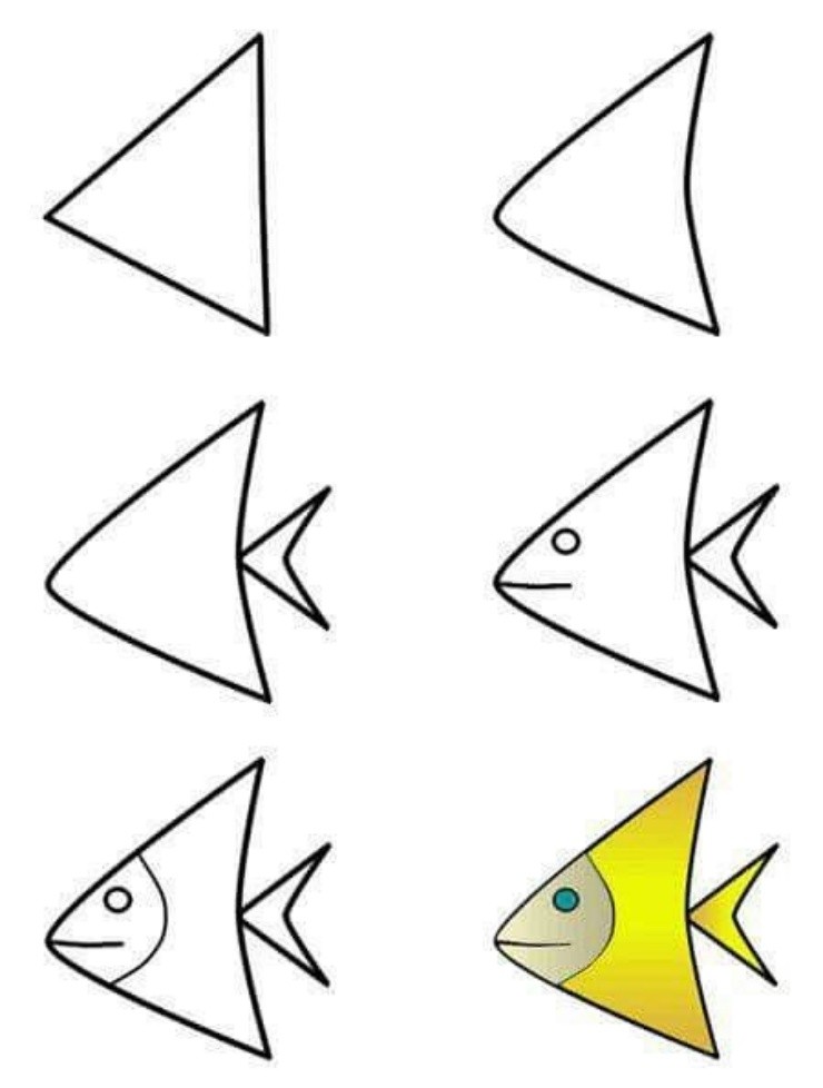 cách vẽ con cá 19