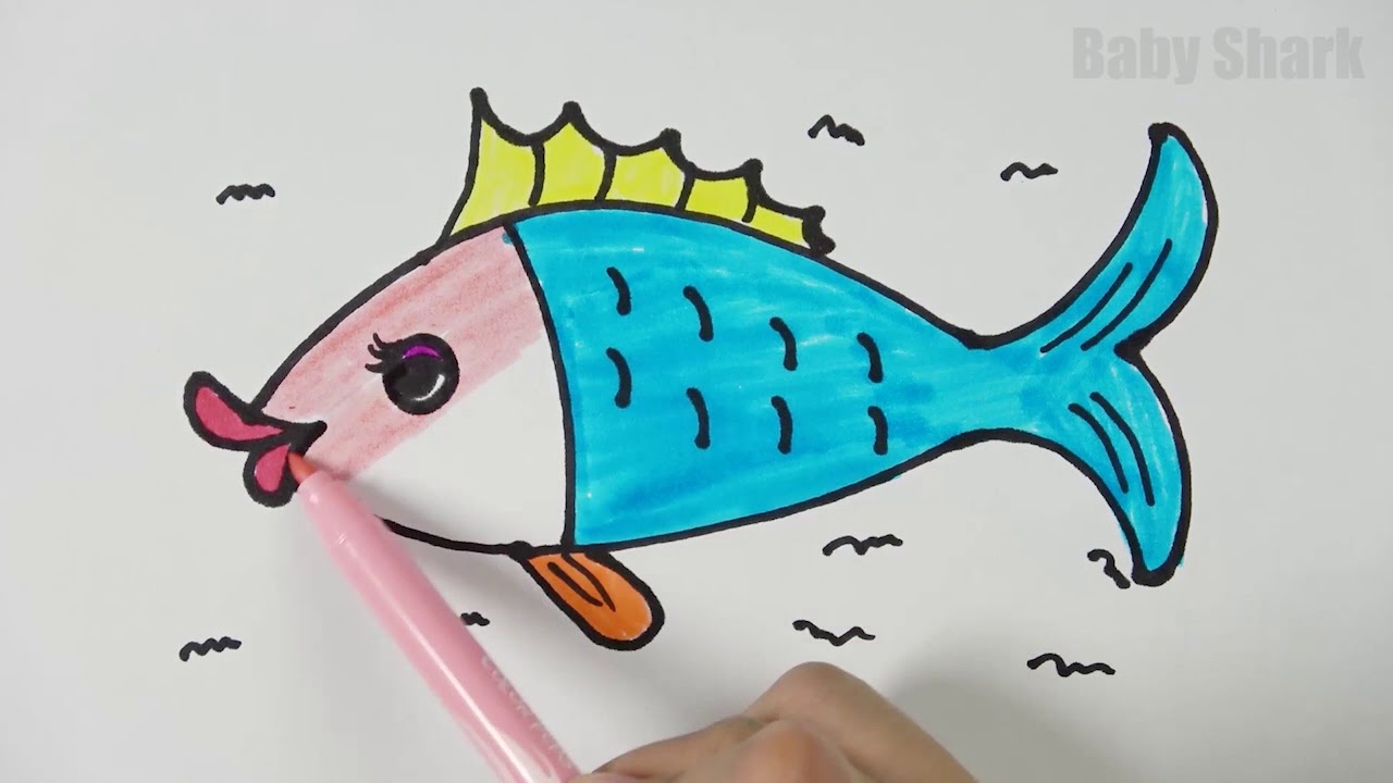 cách vẽ con cá 24