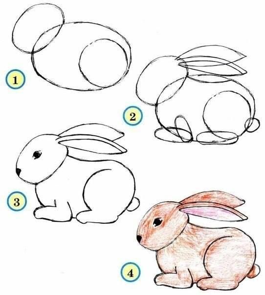 cách vẽ con thỏ 6
