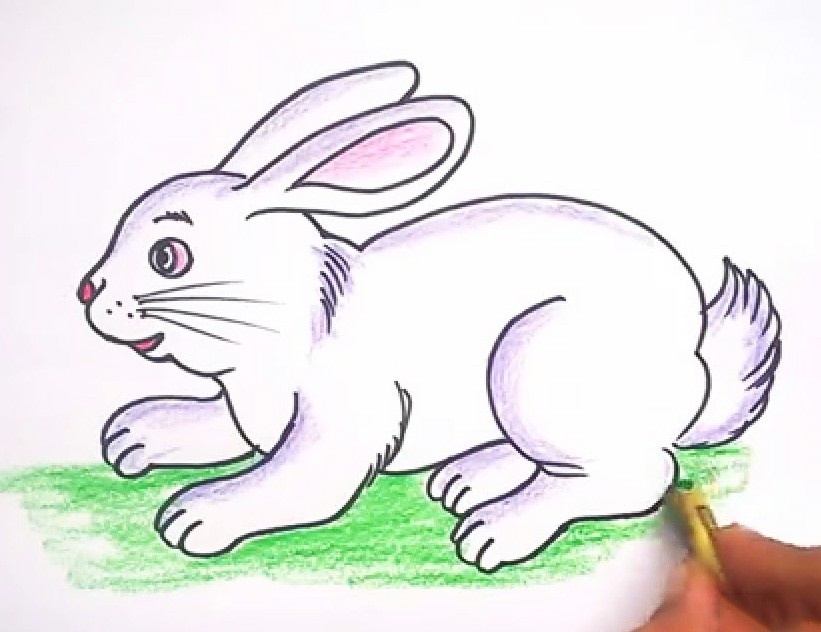 cách vẽ con cái thỏ 9