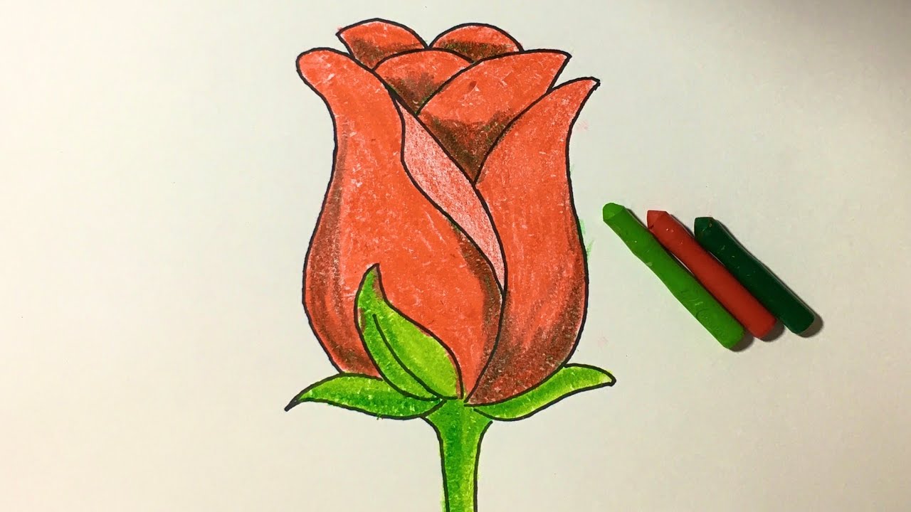 Cách vẽ hoa hồng đơn giản, hoa hồng 3d, cách điệu, bằng hình trái tim