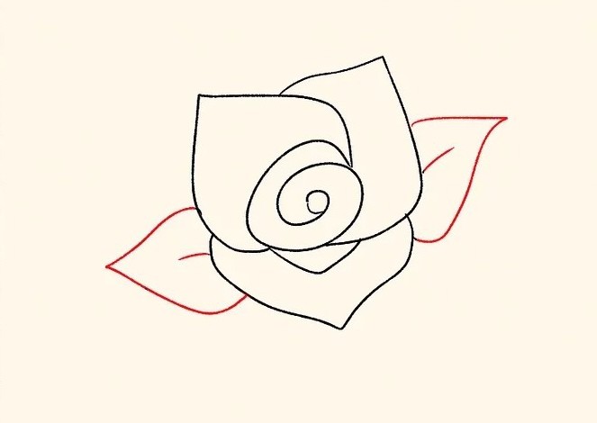 cách vẽ hoa hồng 11