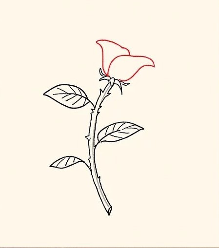cách vẽ 16. hoa hồng
