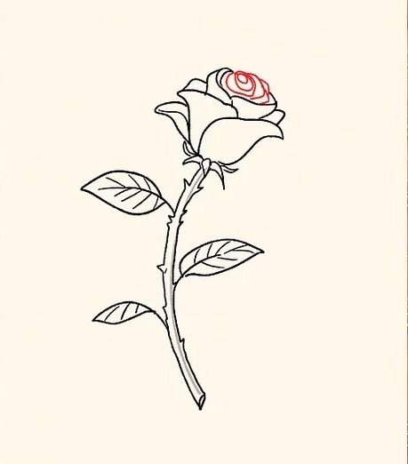 cách vẽ hoa hồng 17