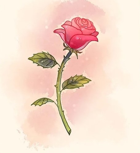 cách vẽ 18 bông hồng