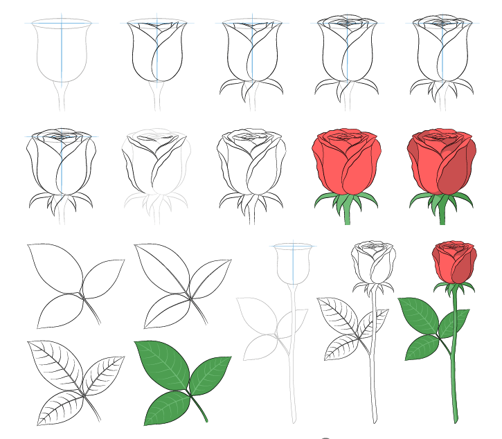 cách vẽ hoa hồng 23
