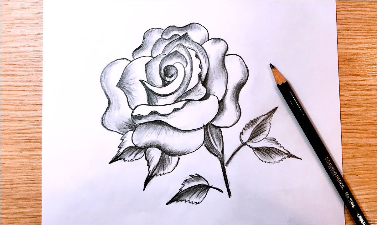 cách vẽ hoa hồng 24