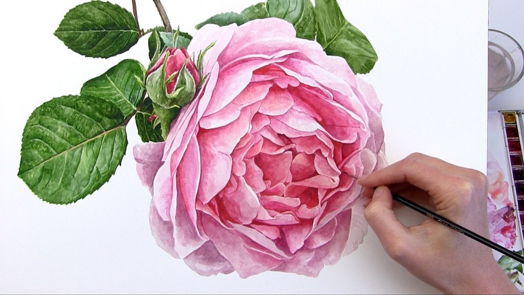 cách vẽ hoa hồng 28