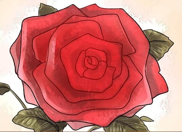 cách vẽ hoa hồng 7