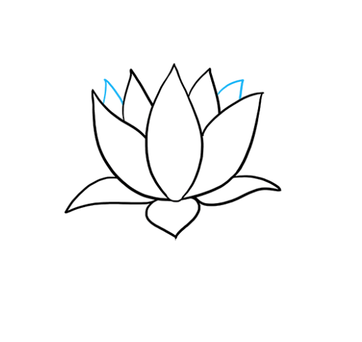 cách vẽ hoa sen 10
