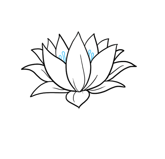 cách vẽ hoa sen 11