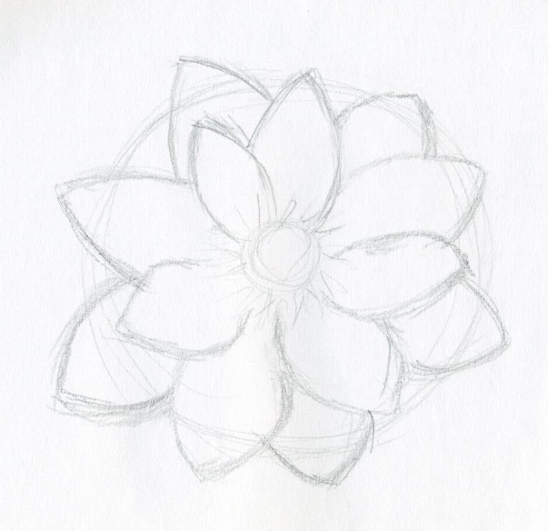 cách vẽ hoa sen 14