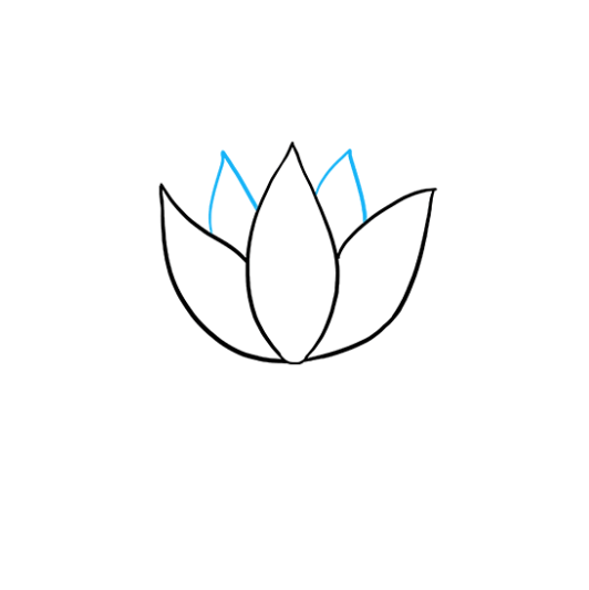 cách vẽ hoa sen 9