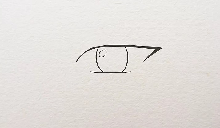 cách vẽ mắt 11