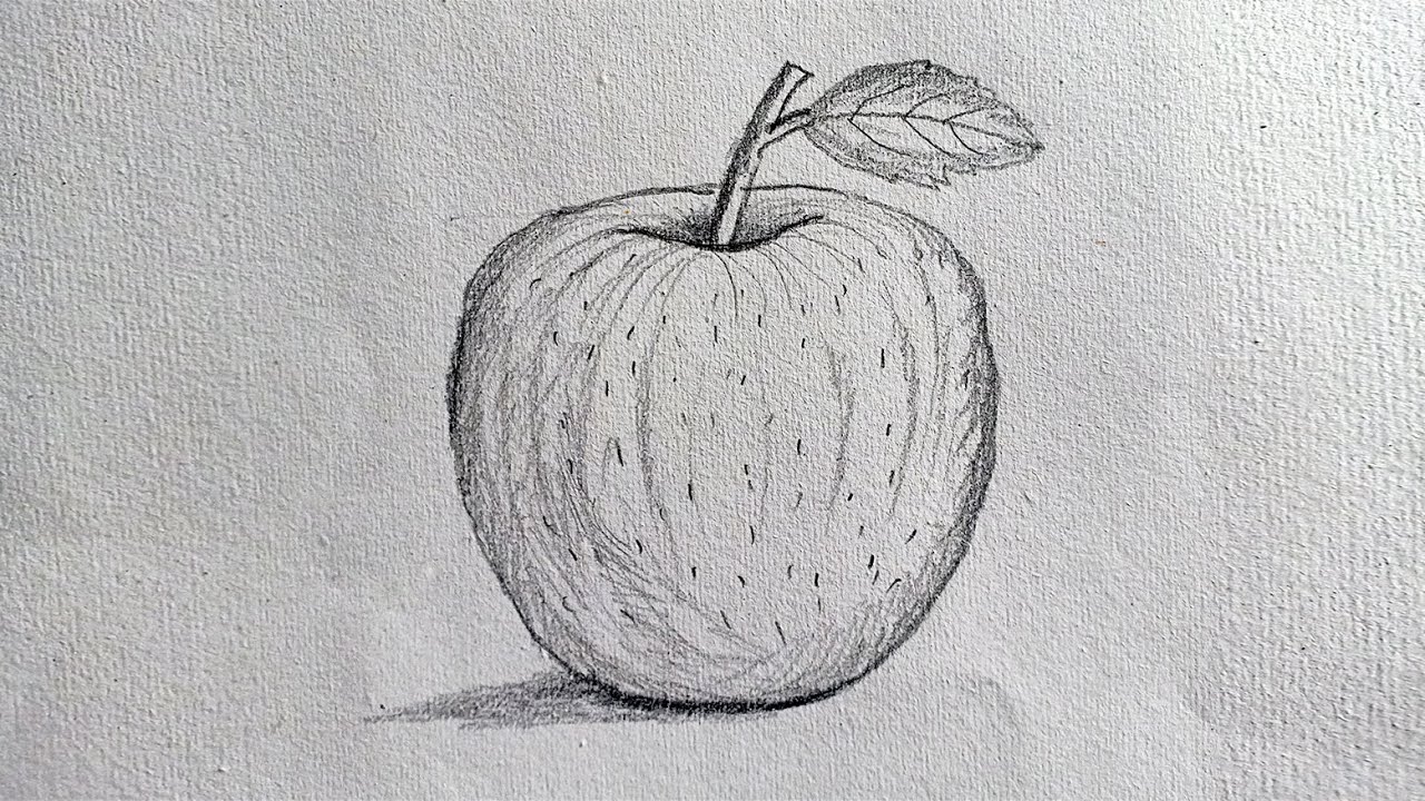 Cách vẽ quả táo đơn giản bằng bút chì nhìn đẹp như thật