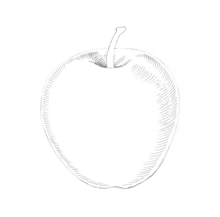 cách vẽ quả táo 18