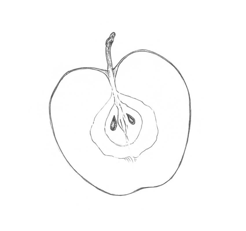 cách vẽ quả táo 27