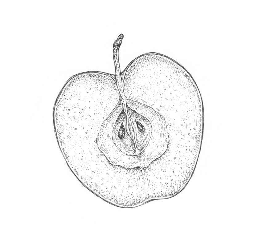 cách vẽ quả táo 29