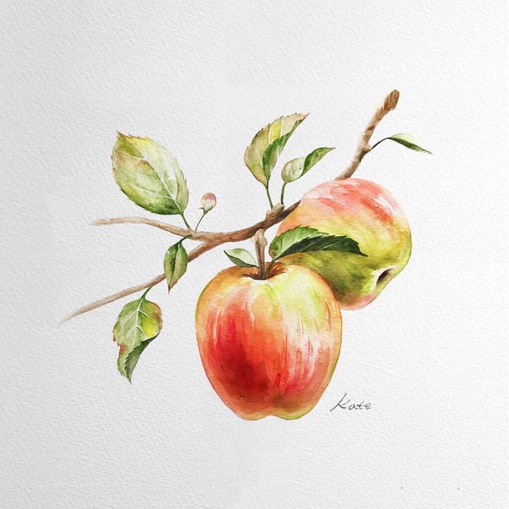 cách vẽ quả táo 35