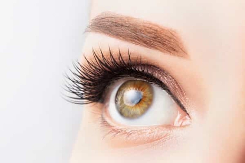 Hoa đậu biếc giúp điều trị các bệnh thị lực, tốt của mắt