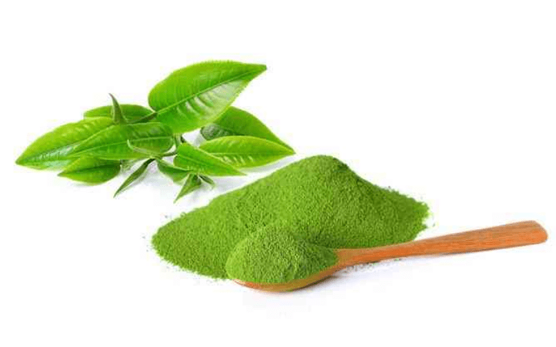 TOP 3 cách làm bột trà xanh nguyên chất đơn giản tại nhà - PHÒNG GIÁO DỤC ĐÀO TẠO HUYỆN TRẠM TẤU