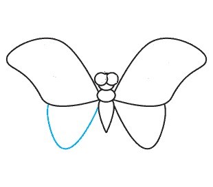 vẽ con bướm 17