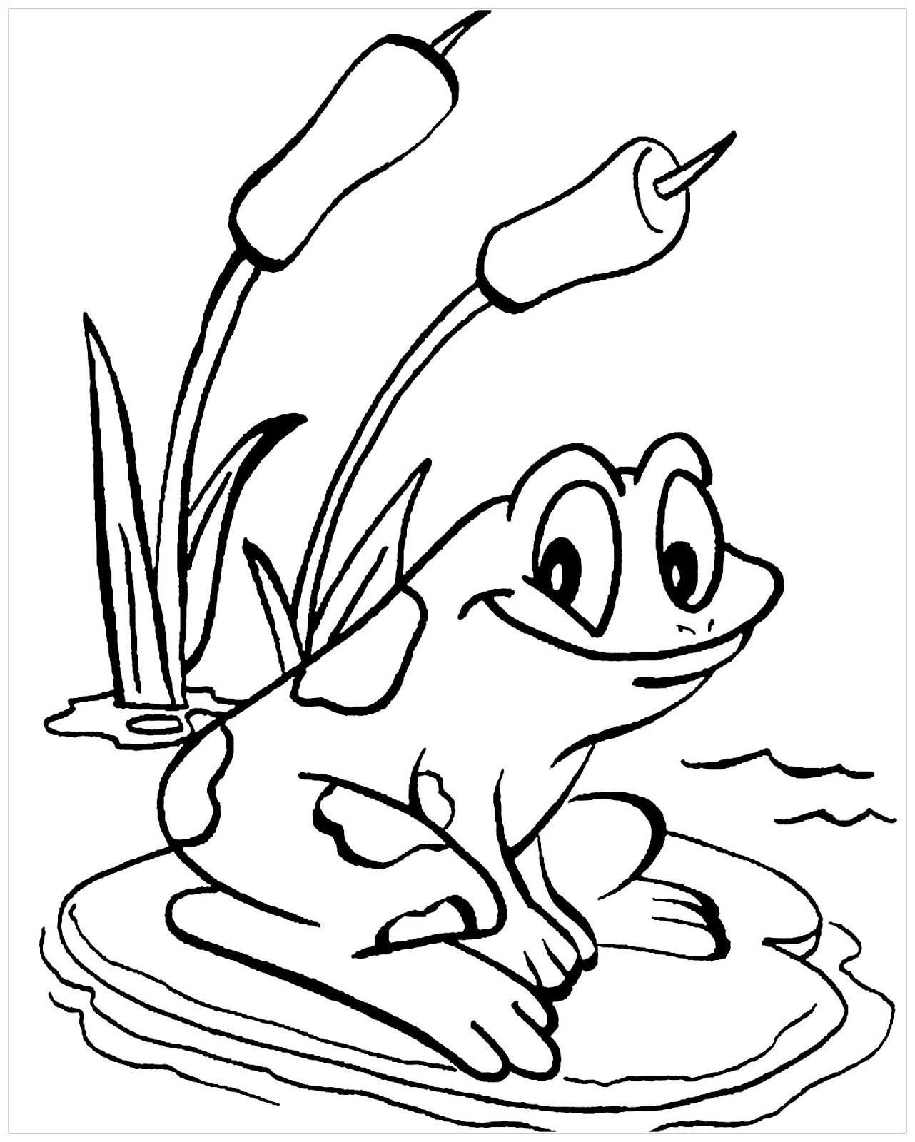 cách vẽ con ếch 15