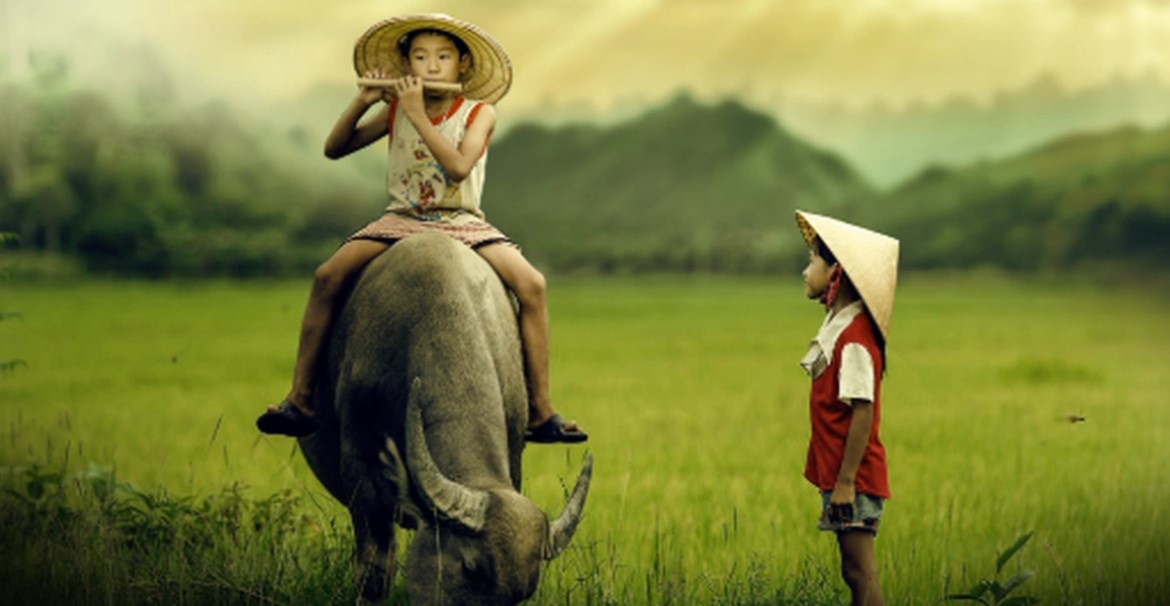 Hình hình ảnh con cái trâu vô văn hóa truyền thống của những người nước Việt Nam 1